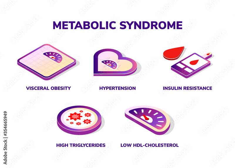 پرونده:Metabolic syndrome.jpg