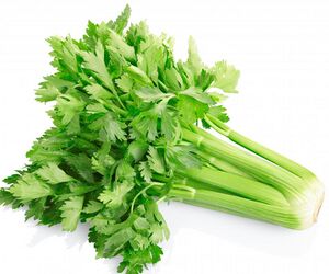 Celery.jpg